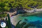 Assos Kefalonia - GreeceGuide.co.uk photo 5 - Photo GreeceGuide.co.uk