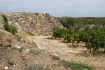 Kiato - Sykiona | Corinth  Peloponnese | Photo 70 - Photo Marcel Fens