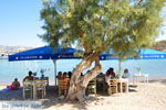 Psathi Kimolos | Cyclades Greece | Photo 17 - Photo GreeceGuide.co.uk