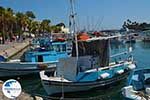 Kos town - Island of Kos - Greece  Photo 84 - Photo GreeceGuide.co.uk