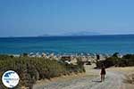 Markos beach - Island of Kos -  Photo 32 - Photo GreeceGuide.co.uk