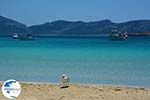 Koufonissi - Koufonissia islands | Cyclades | Greece  | nr 79 - Photo GreeceGuide.co.uk