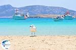 Koufonissi - Koufonissia islands | Cyclades | Greece  | nr 101 - Photo GreeceGuide.co.uk