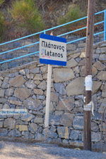 Platanos near Tholos | Lassithi Crete | Photo 2 - Photo GreeceGuide.co.uk
