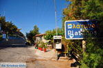 Platanos near Tholos | Lassithi Crete | Photo 3 - Photo GreeceGuide.co.uk