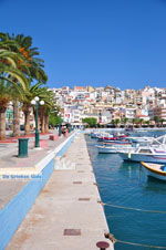 Sitia | Lassithi Crete | Greece  Photo 4 - Photo GreeceGuide.co.uk