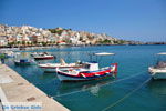 Sitia | Lassithi Crete | Greece  Photo 9 - Photo GreeceGuide.co.uk