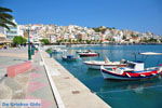 Sitia | Lassithi Crete | Greece  Photo 10 - Photo GreeceGuide.co.uk