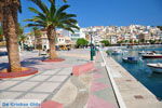 Sitia | Lassithi Crete | Greece  Photo 11 - Photo GreeceGuide.co.uk