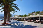 Sitia | Lassithi Crete | Greece  Photo 14 - Photo GreeceGuide.co.uk