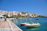 Sitia | Lassithi Crete | Greece  Photo 17 - Photo GreeceGuide.co.uk