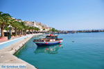 Sitia | Lassithi Crete | Greece  Photo 19 - Photo GreeceGuide.co.uk