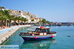 Sitia | Lassithi Crete | Greece  Photo 20 - Photo GreeceGuide.co.uk