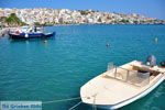 Sitia | Lassithi Crete | Greece  Photo 24 - Photo GreeceGuide.co.uk