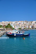 Sitia | Lassithi Crete | Greece  Photo 25 - Photo GreeceGuide.co.uk