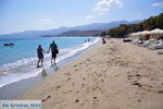 Sitia | Lassithi Crete | Greece  Photo 32 - Photo GreeceGuide.co.uk