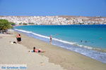 Sitia | Lassithi Crete | Greece  Photo 36 - Photo GreeceGuide.co.uk