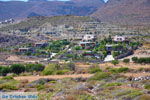 Near Xerokambos | Lassithi Crete | Photo 14 - Photo GreeceGuide.co.uk