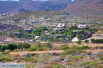 Near Xerokambos | Lassithi Crete | Photo 14 - Photo GreeceGuide.co.uk