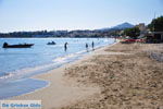 Makrigialos | Lassithi Crete | Photo 8 - Photo GreeceGuide.co.uk