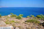 Agia Fotia | Lassithi Crete | Photo 1 - Photo GreeceGuide.co.uk