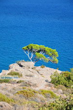 Agia Fotia | Lassithi Crete | Photo 2 - Photo GreeceGuide.co.uk