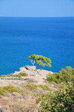 Agia Fotia | Lassithi Crete | Photo 3 - Photo GreeceGuide.co.uk