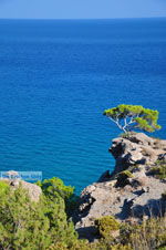Agia Fotia | Lassithi Crete | Photo 8 - Photo GreeceGuide.co.uk