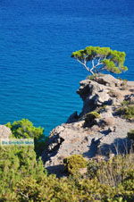 Agia Fotia | Lassithi Crete | Photo 9 - Photo GreeceGuide.co.uk