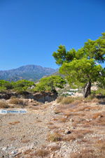 Agia Fotia | Lassithi Crete | Photo 19 - Photo GreeceGuide.co.uk