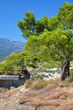 Agia Fotia | Lassithi Crete | Photo 20 - Photo GreeceGuide.co.uk