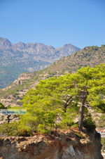 Agia Fotia | Lassithi Crete | Photo 21 - Photo GreeceGuide.co.uk