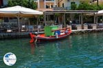 Vathy - Meganisi island near Lefkada island - Photo Meganisi (island) 63 - Photo GreeceGuide.co.uk