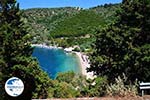 beach Spartochori - Meganisi island near Lefkada island - Photo Meganisi (island) 90 - Photo GreeceGuide.co.uk