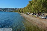 Alinda - Island of Leros - Dodecanese islands Photo 20 - Photo GreeceGuide.co.uk