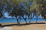 Gourna - Island of Leros - Dodecanese islands Photo 8 - Photo GreeceGuide.co.uk