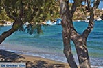 Blefoutis beach Partheni - Island of Leros - Dodecanese islands Photo 20 - Photo GreeceGuide.co.uk