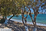 Blefoutis beach Partheni - Island of Leros - Dodecanese islands Photo 21 - Photo GreeceGuide.co.uk