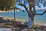 Blefoutis beach Partheni - Island of Leros - Dodecanese islands Photo 22 - Photo GreeceGuide.co.uk