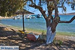 Blefoutis beach Partheni - Island of Leros - Dodecanese islands Photo 23 - Photo GreeceGuide.co.uk