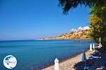 Molyvos Lesbos | Greece | Greece  8 - Photo GreeceGuide.co.uk