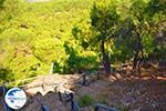 Near Waterfalls Pesas | Lesbos Greece | Greece  19 - Photo GreeceGuide.co.uk