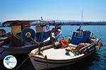 Skala Kallonis Lesbos | Greece | Greece  24 - Photo GreeceGuide.co.uk