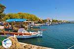 Skala Kallonis Lesbos | Greece | Greece  29 - Photo GreeceGuide.co.uk