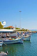 Skala Kallonis Lesbos | Greece | Greece  30 - Photo GreeceGuide.co.uk