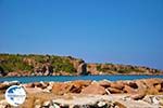 Skala Neon Kidonion | Lesbos | Greece  6 - Photo GreeceGuide.co.uk