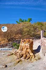 Petrified forest near Sigri | Lesbos Greece | Photo 4 - Photo GreeceGuide.co.uk