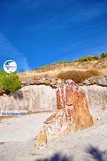 Petrified forest near Sigri | Lesbos Greece | Photo 6 - Photo GreeceGuide.co.uk