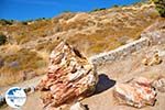 Petrified forest near Sigri | Lesbos Greece | Photo 20 - Photo GreeceGuide.co.uk