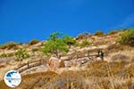 Petrified forest near Sigri | Lesbos Greece | Photo 25 - Photo GreeceGuide.co.uk